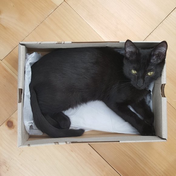 Meet your Posher - Picture 2 of 3